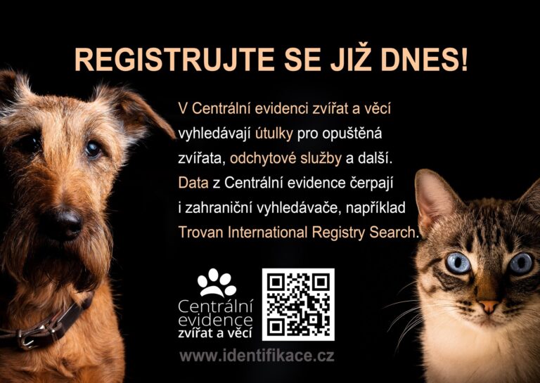 Identifikace.cz – evidence čipovaných zvířat i pomoc útulkům